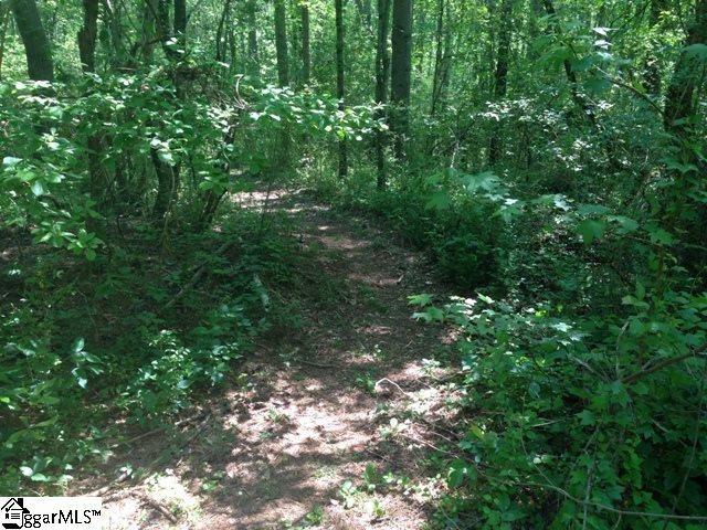 195 Roanoke Road Liberty, SC 29657 - Photo 25 of 35