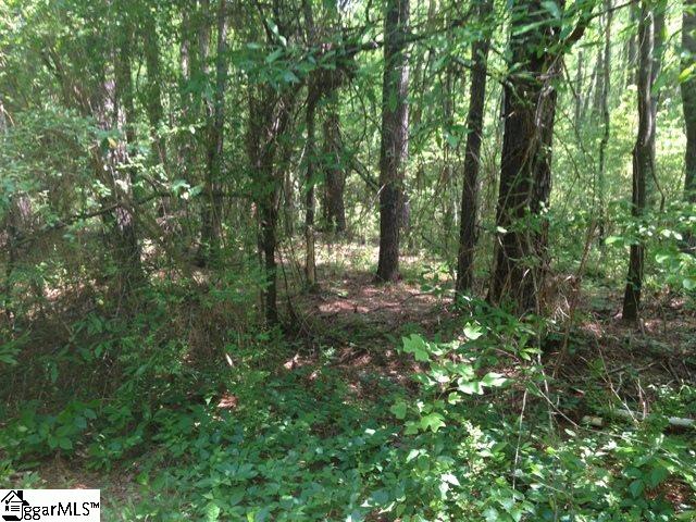195 Roanoke Road Liberty, SC 29657 - Photo 26 of 35