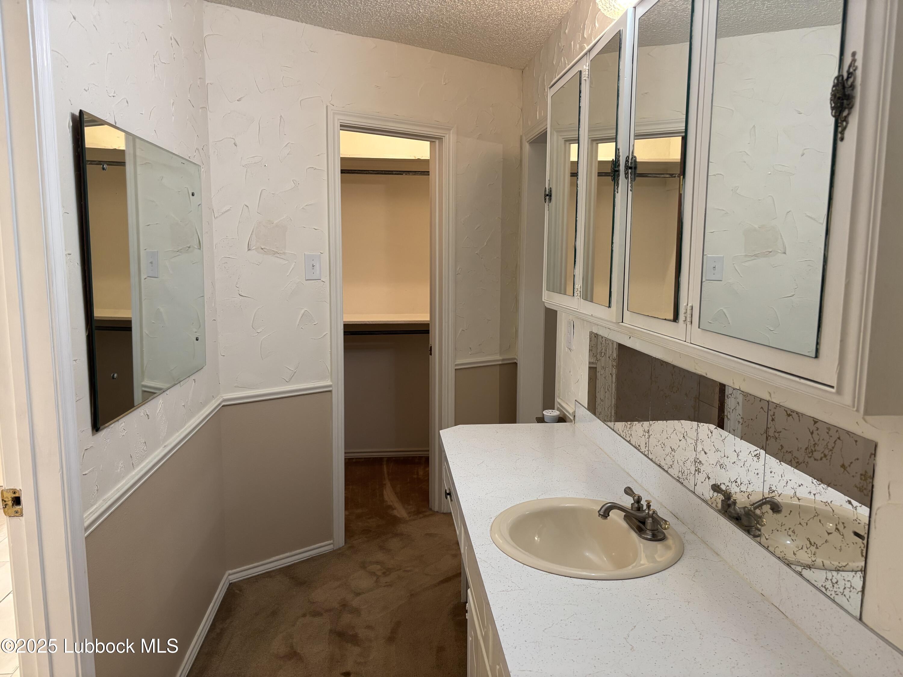 53 East Lakeshore Drive Ransom Canyon, TX 79366 - Photo 32 of 43 a bathroom with a sink and a mirror