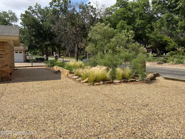 a view of backyard of water and trees