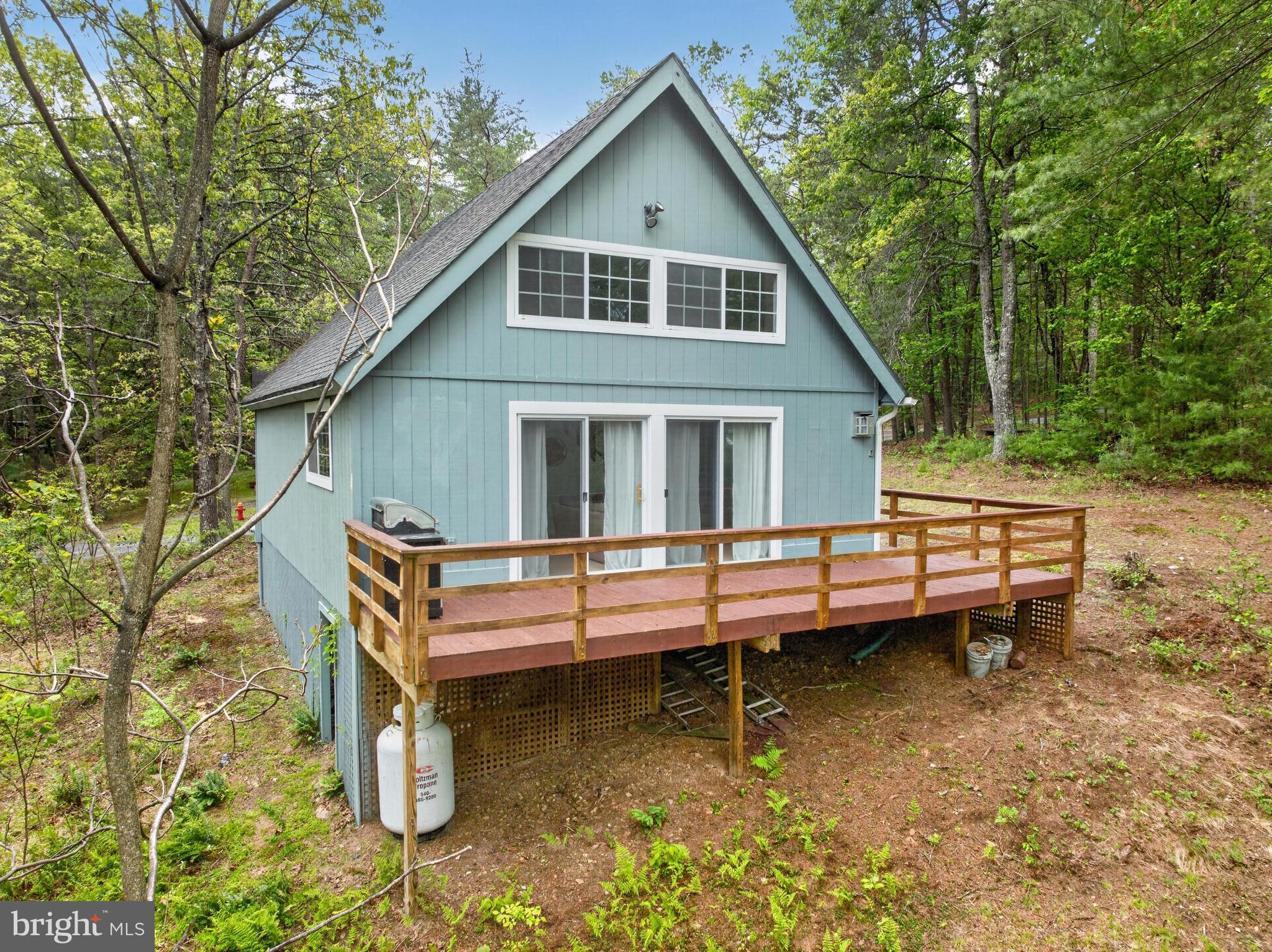 393 Palmer Road Basye, VA 22810 - Photo 3 of 33