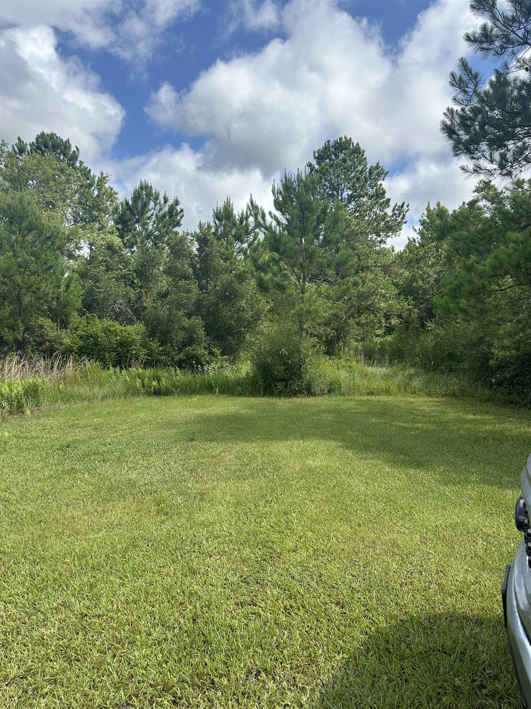 0 Kinsey Road Monticello, FL 32344 - Photo 1 of 3 Gallery Image 1