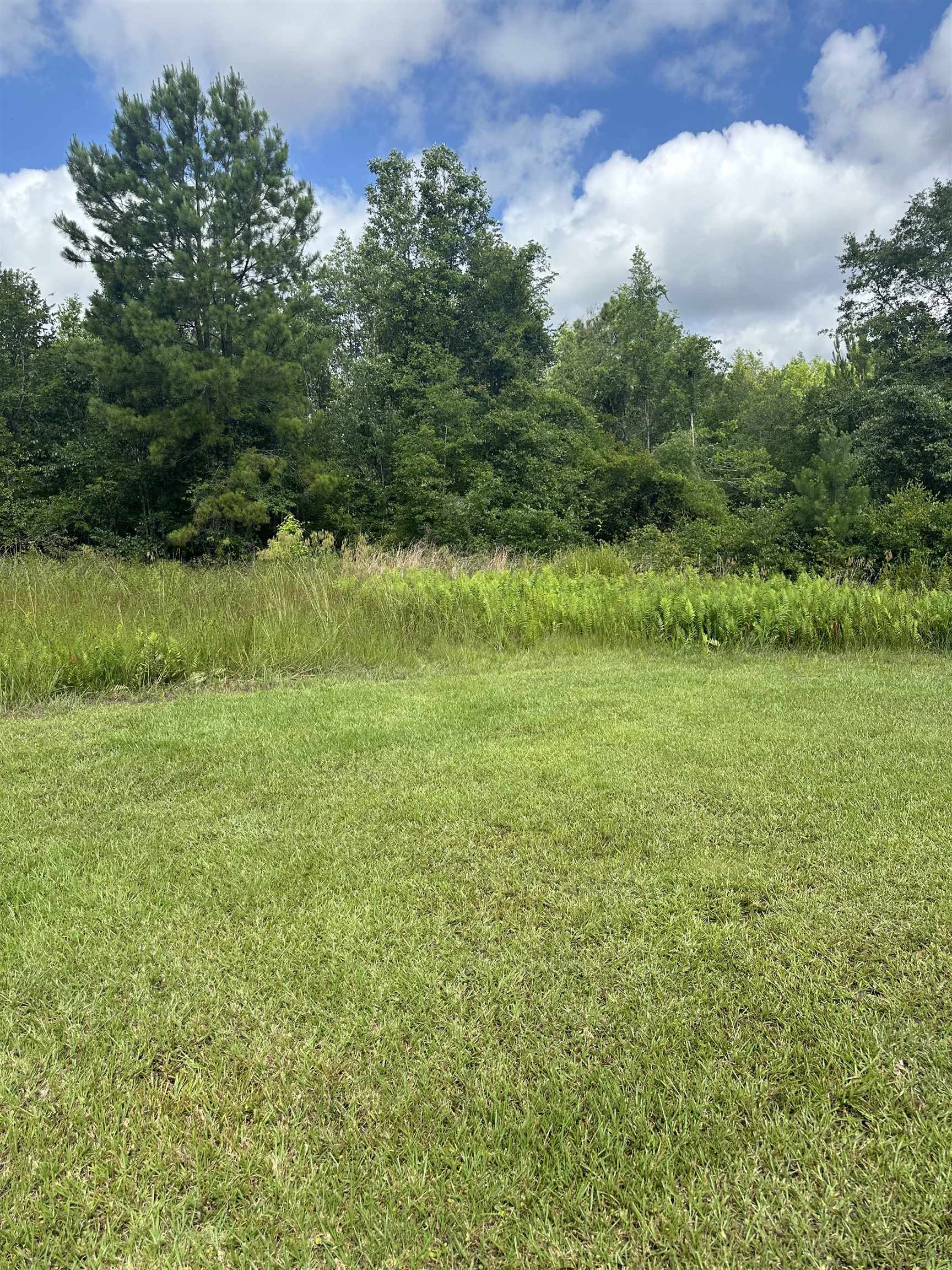 0 Kinsey Road Monticello, FL 32344 - Photo 3 of 3 Gallery Image 3