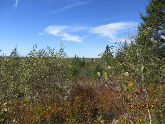 $49,800 | Lot #7 Highland Road, Addison, ME 04606