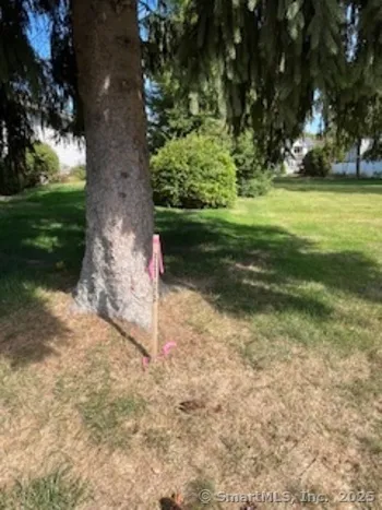 a view of green field