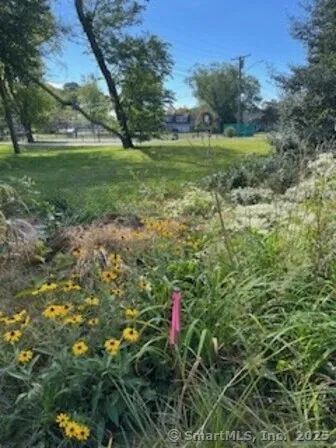 a view of a backyard of the house