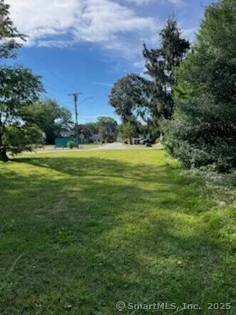 a view of a field with a tree