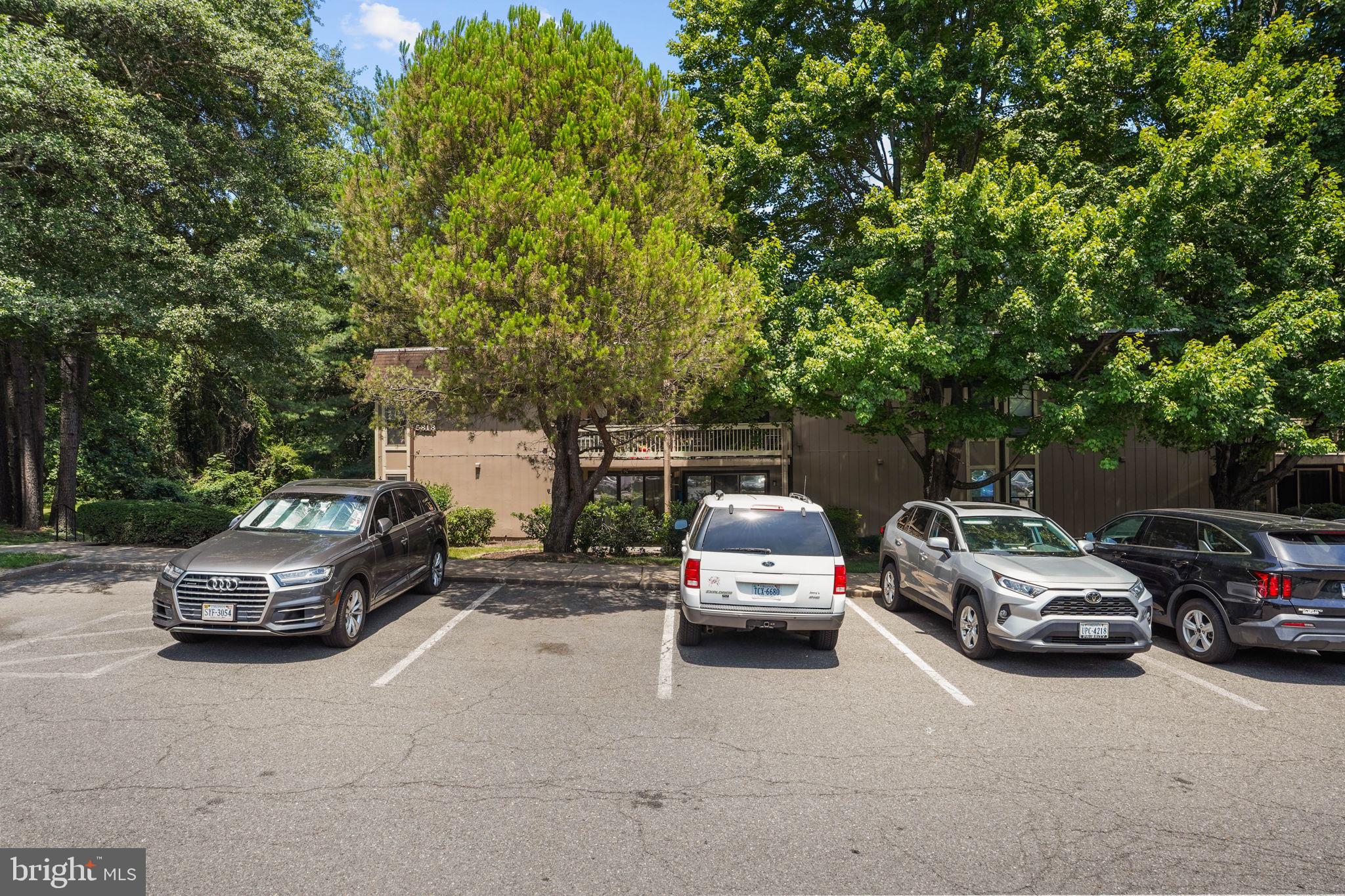 5818 Royal Ridge Drive, Unit M Springfield, VA 22152 - Photo 31 of 33