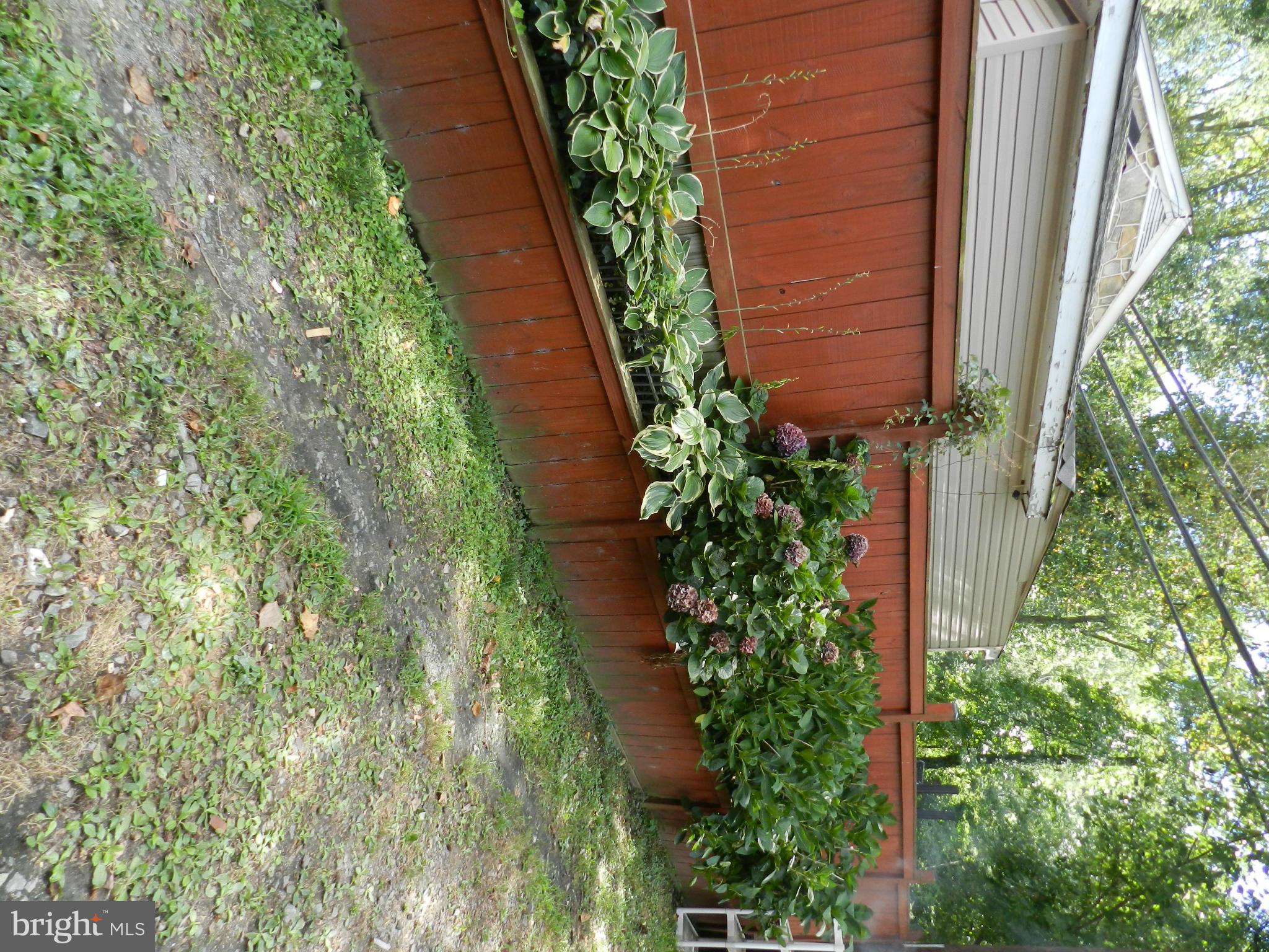18834 Fuller Heights Road Triangle, VA 22172 - Photo 22 of 22 Hydrangeas!