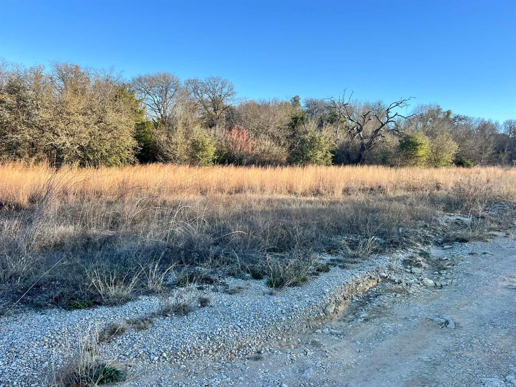 1085 Highland Circle Springtown, TX 76082 - Photo 25 of 30 a view of a yard
