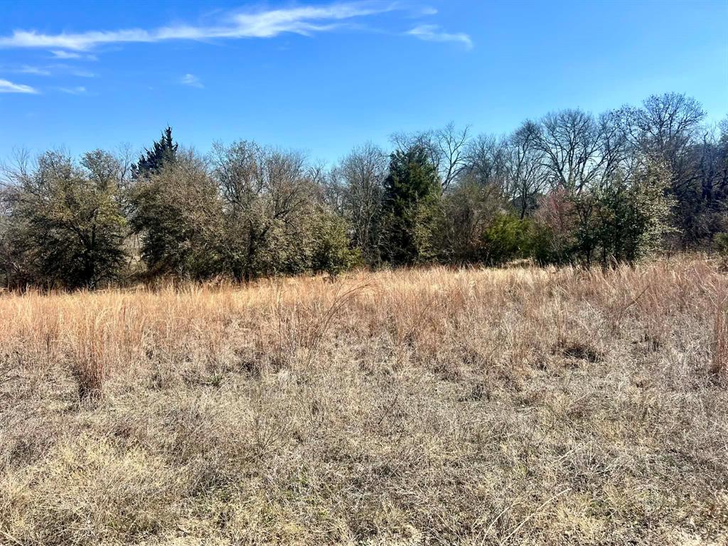 1085 Highland Circle Springtown, TX 76082 - Photo 28 of 30 a view of a yard with a tree
