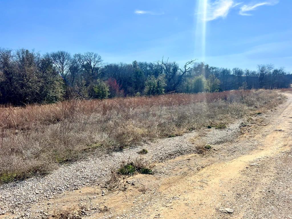 1085 Highland Circle Springtown, TX 76082 - Photo 30 of 30 a view of a dry yard covered with trees
