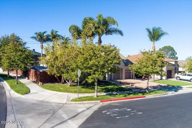 a view of a park with large trees