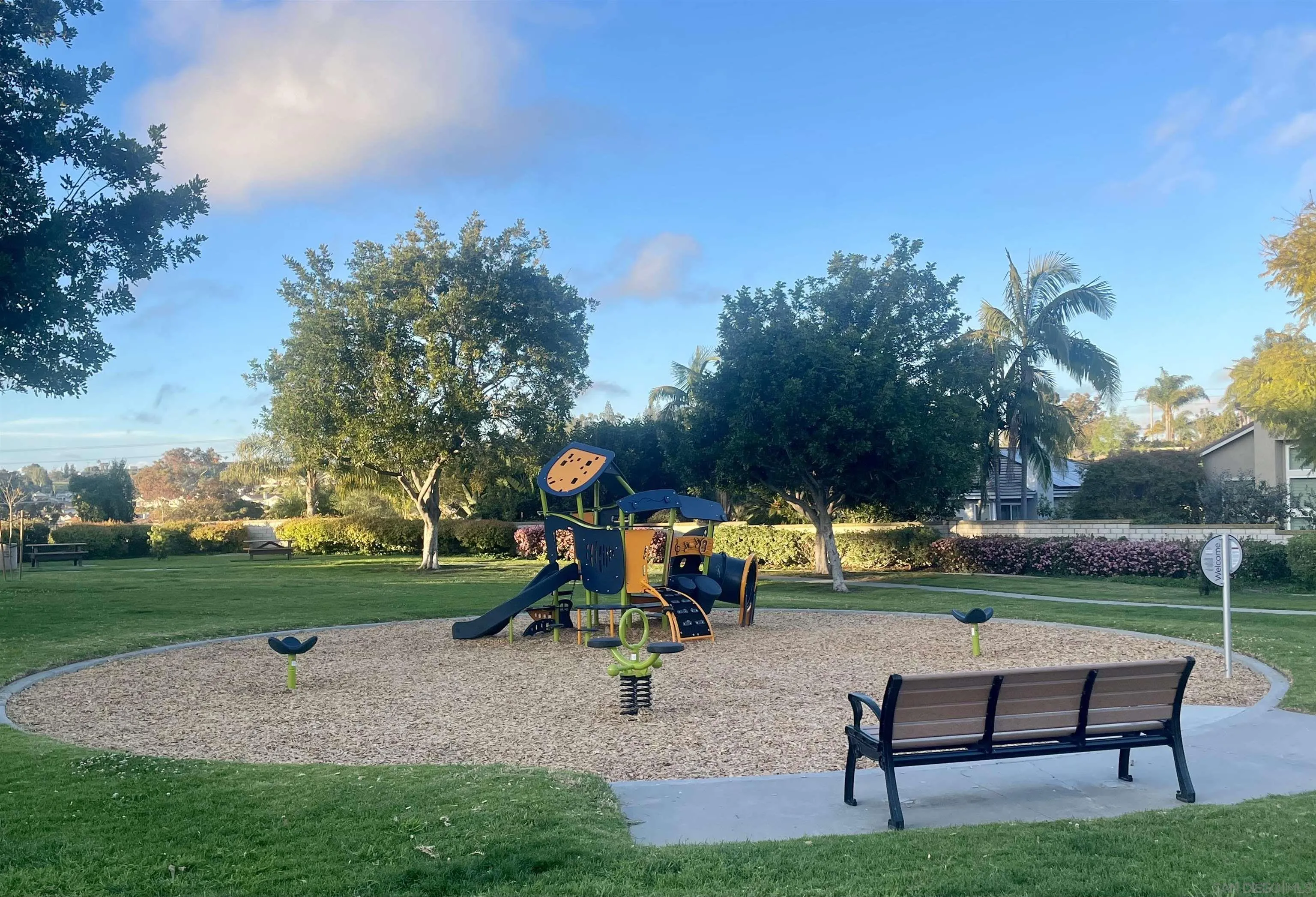 2016 Sequoia Street San Marcos, CA 92078 - Photo 47 of 50 a park bench sitting in the middle of a park