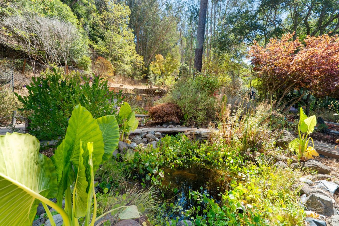530 Flume Road Aptos, CA 95003 - Photo 66 of 71 Gallery Image 66