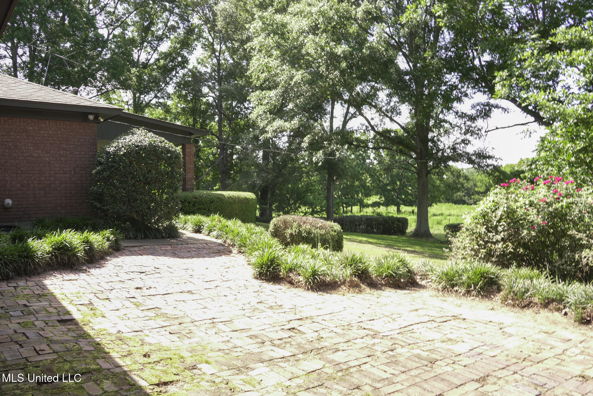 3084 Tom Collins Road Utica, MS 39175 - Photo 11 of 93 DSC01299