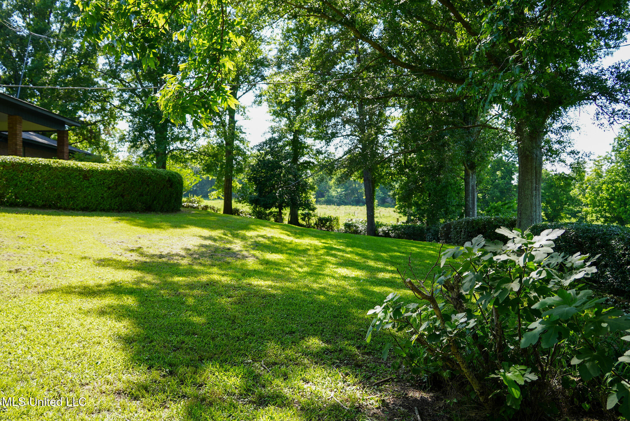 3084 Tom Collins Road Utica, MS 39175 - Photo 13 of 93 DSC01306