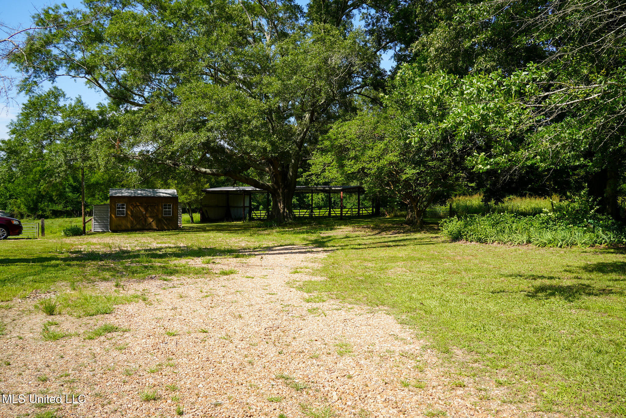 3084 Tom Collins Road Utica, MS 39175 - Photo 21 of 93 DSC01315