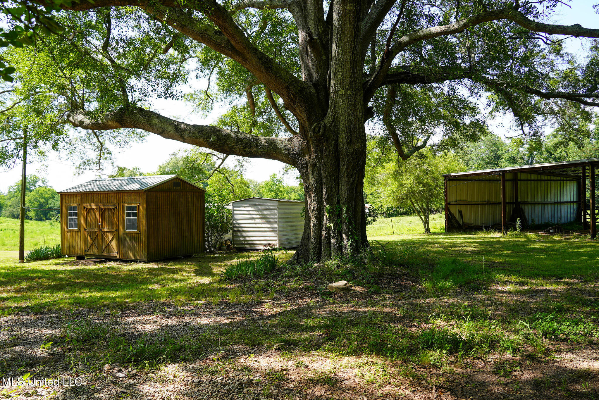 3084 Tom Collins Road Utica, MS 39175 - Photo 26 of 93 DSC01320