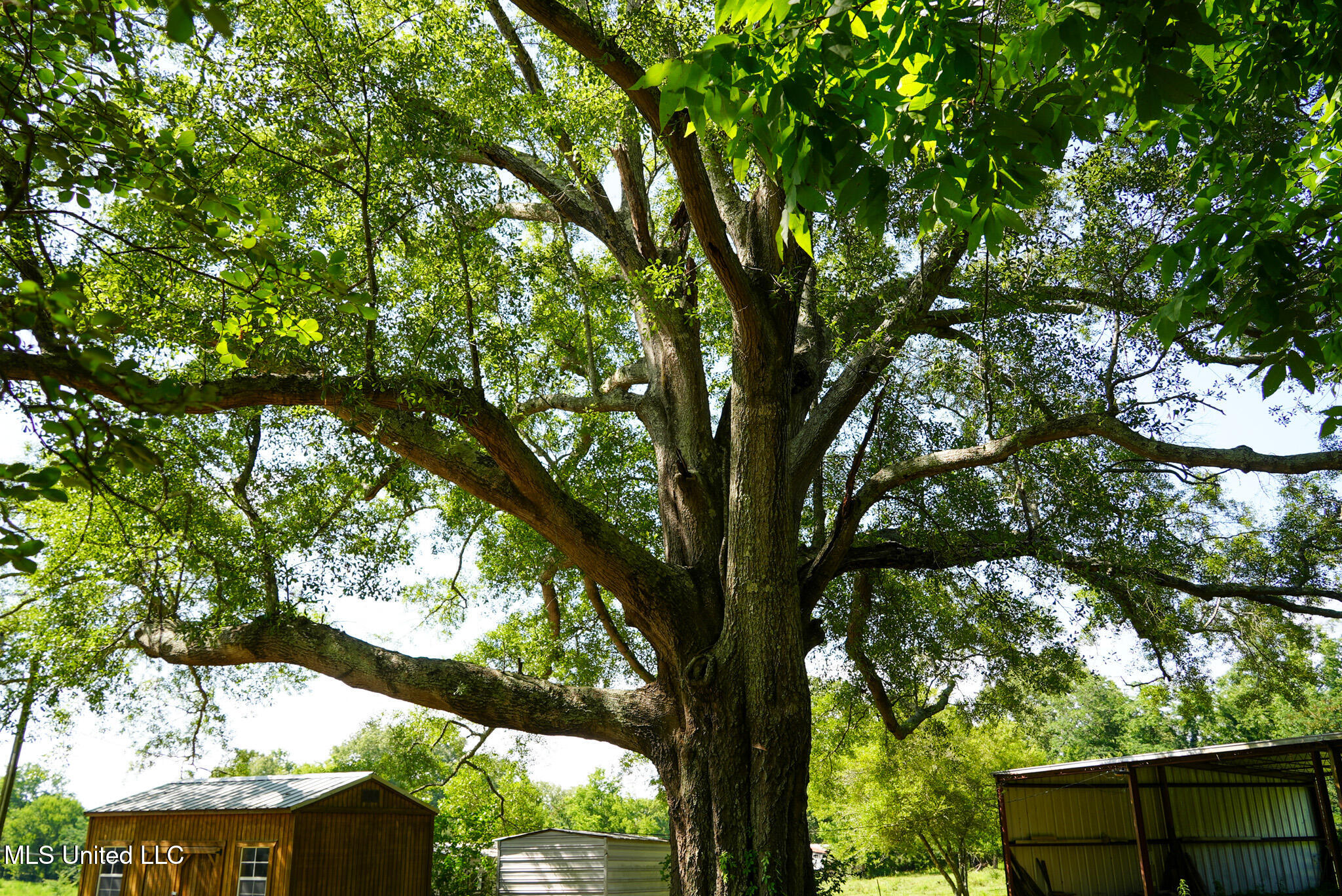 3084 Tom Collins Road Utica, MS 39175 - Photo 27 of 93 DSC01321