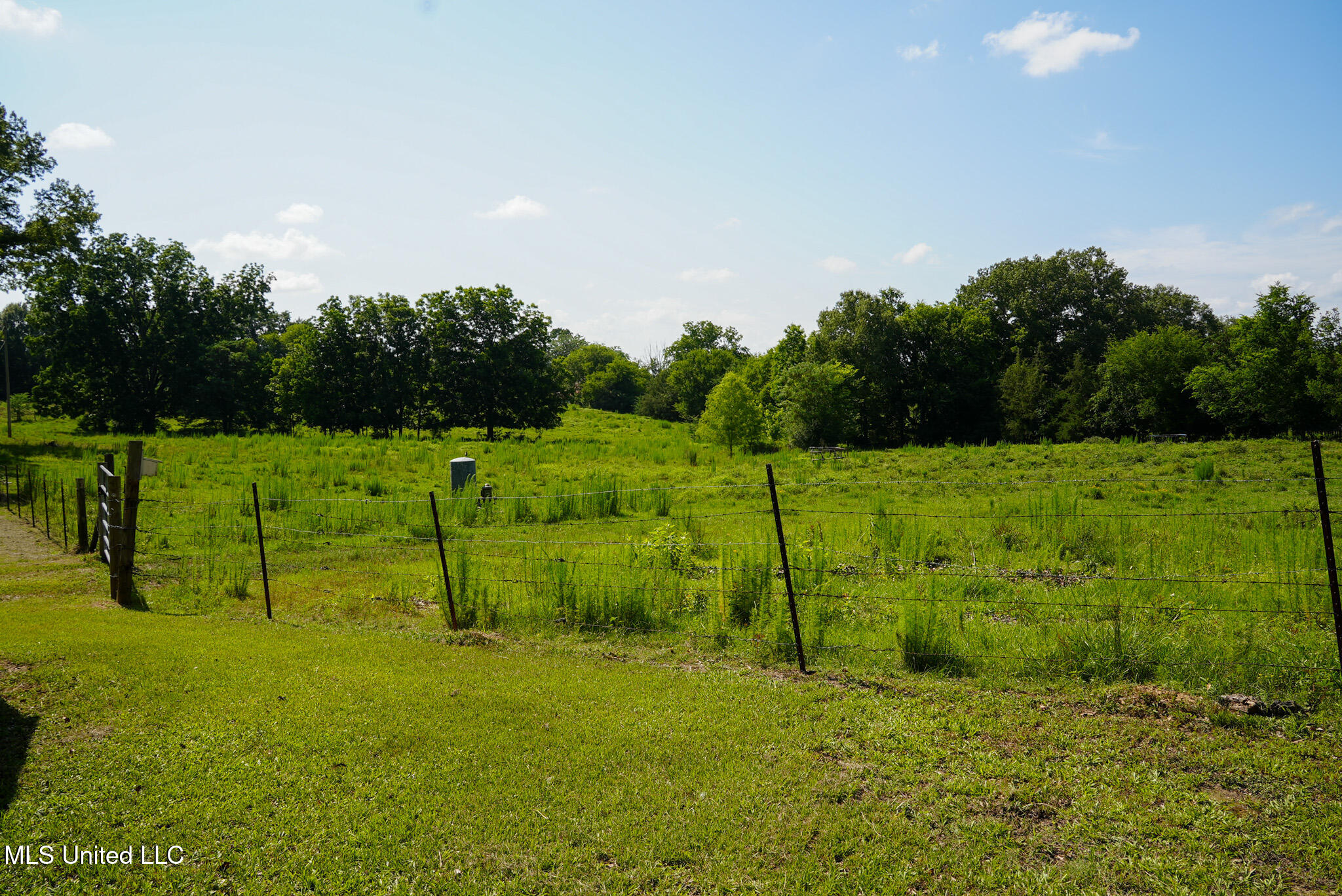 3084 Tom Collins Road Utica, MS 39175 - Photo 30 of 93 DSC01324