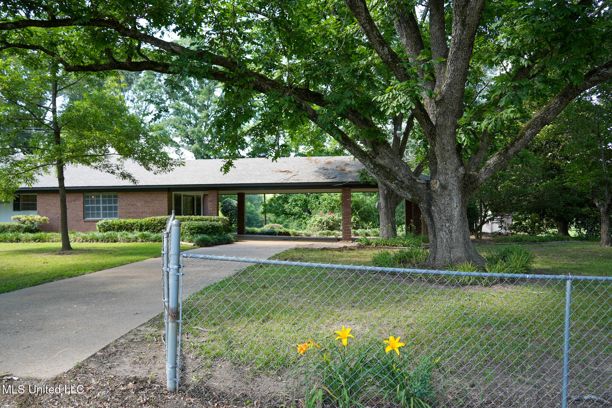 3084 Tom Collins Road Utica, MS 39175 - Photo 3 of 93 DSC01288