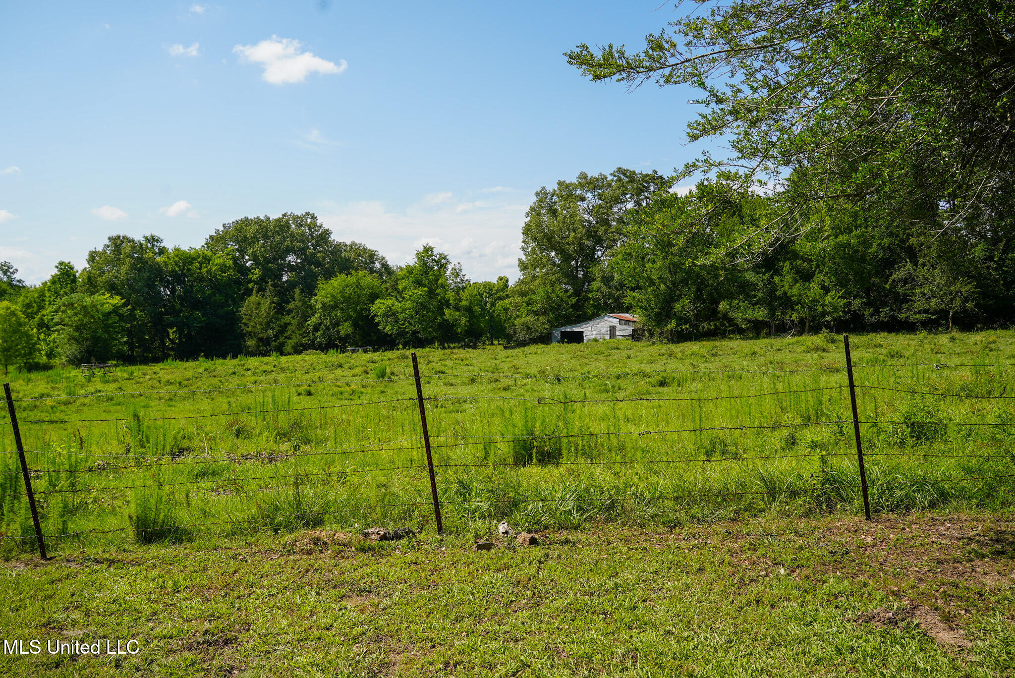 3084 Tom Collins Road Utica, MS 39175 - Photo 31 of 93 DSC01325