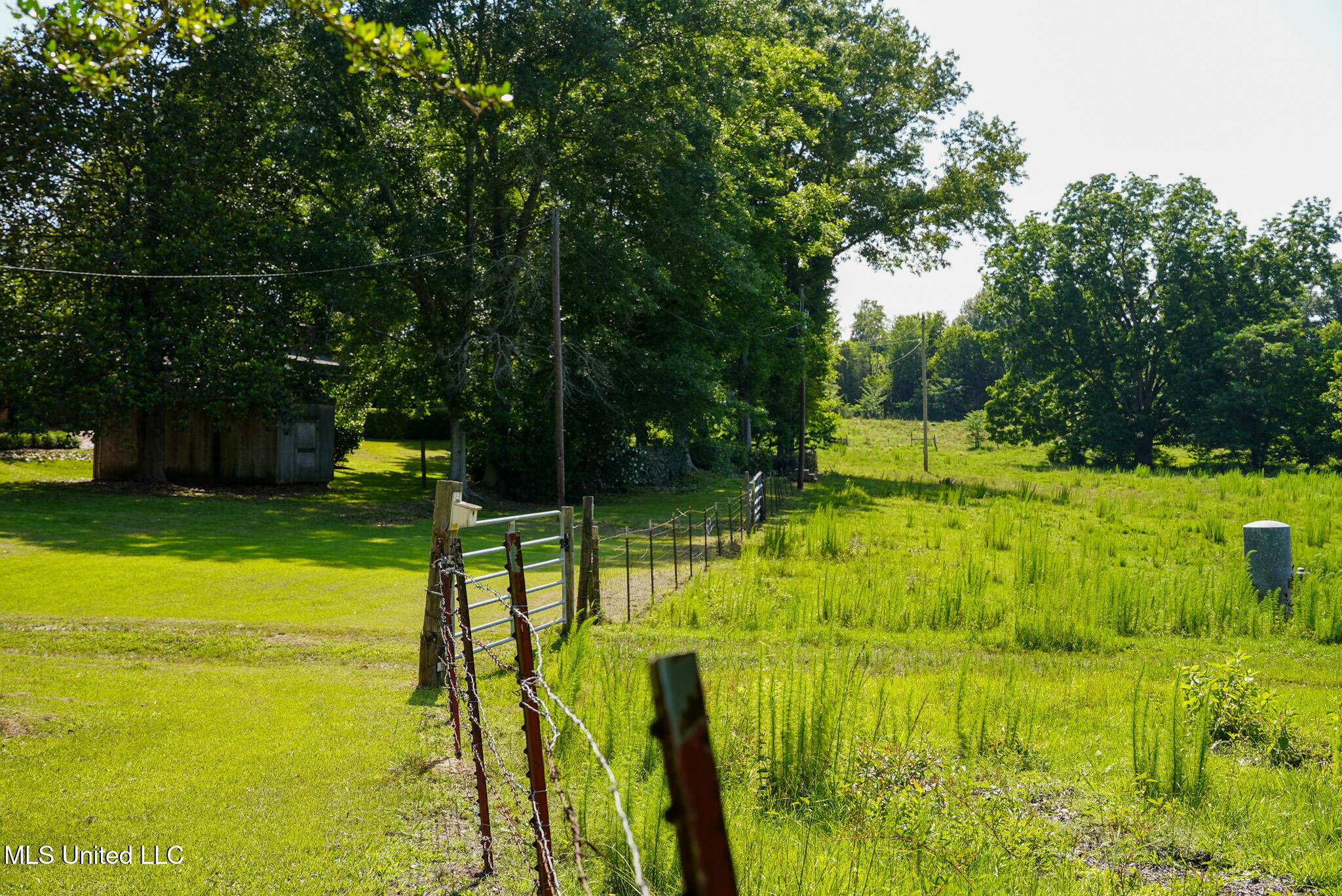 3084 Tom Collins Road Utica, MS 39175 - Photo 33 of 93 DSC01327