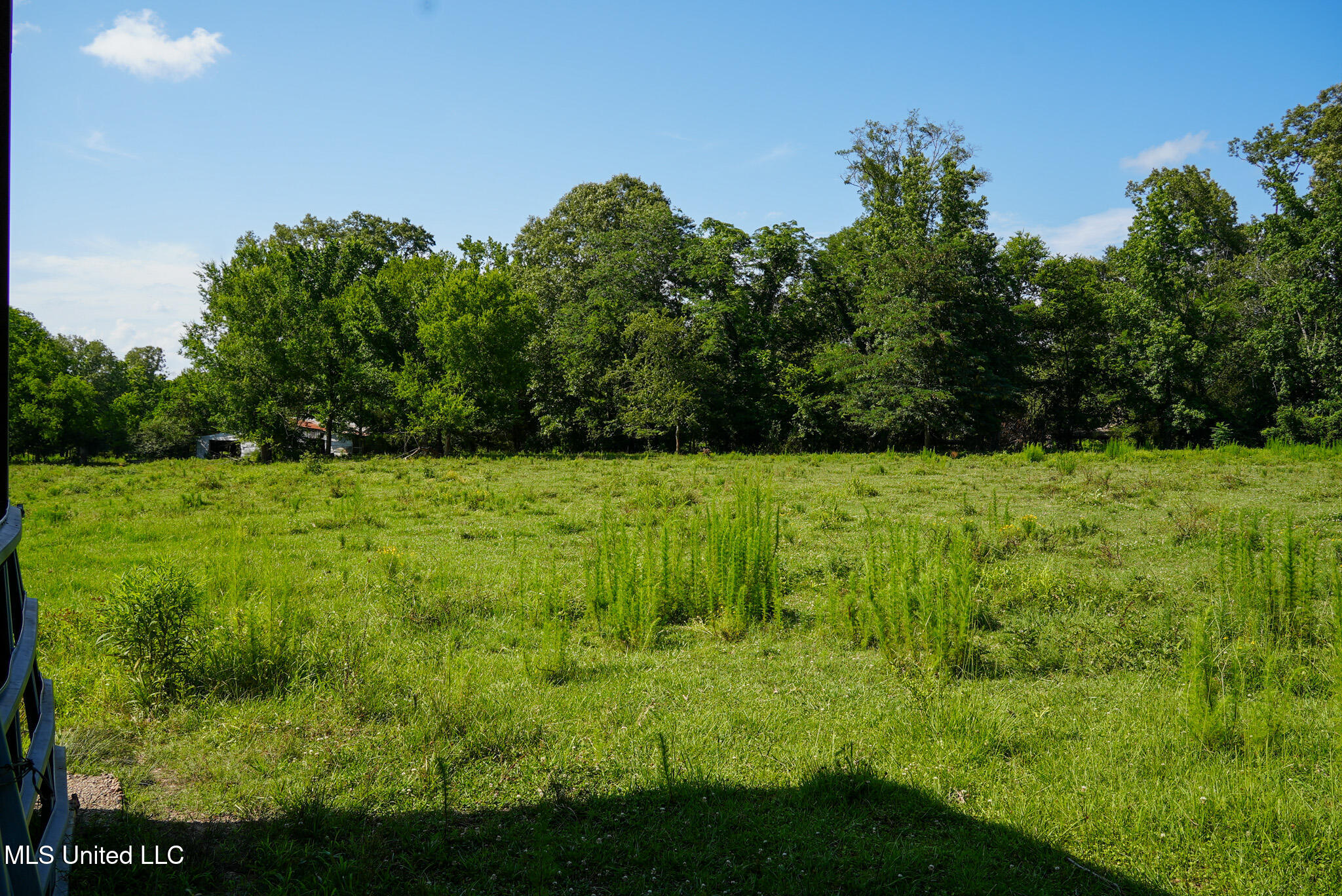 3084 Tom Collins Road Utica, MS 39175 - Photo 35 of 93 DSC01330