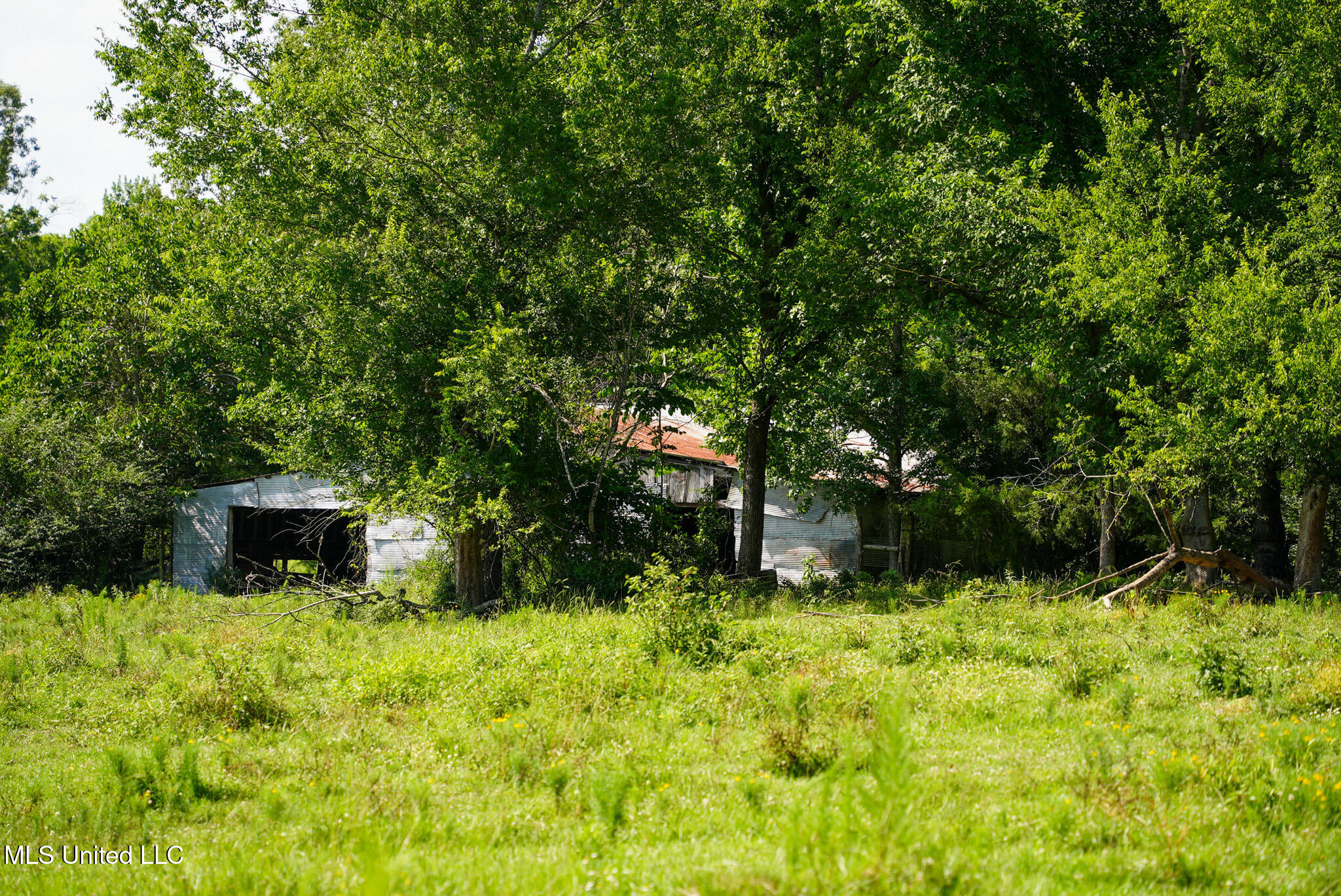 3084 Tom Collins Road Utica, MS 39175 - Photo 36 of 93 DSC01331