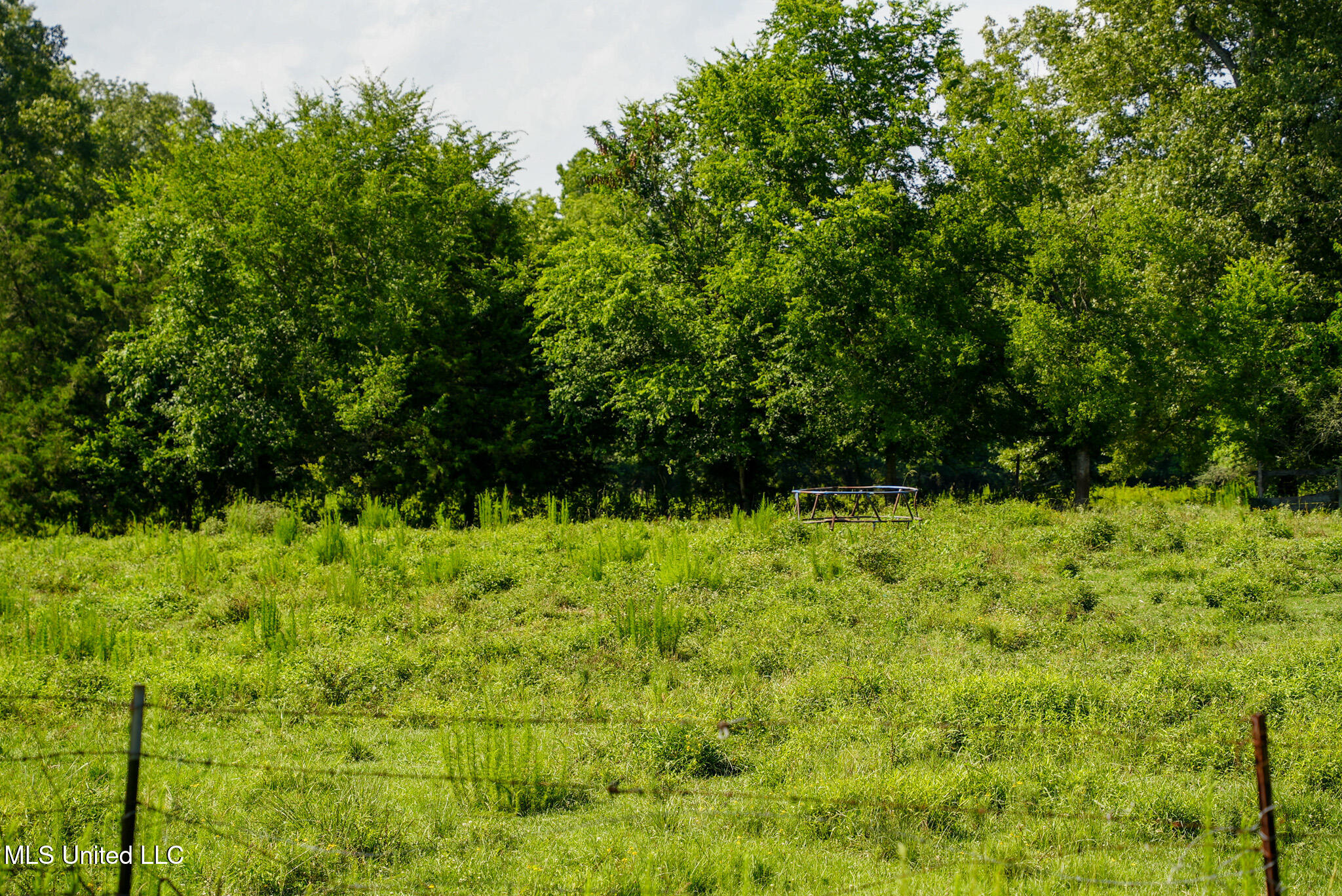 3084 Tom Collins Road Utica, MS 39175 - Photo 42 of 93 DSC01337