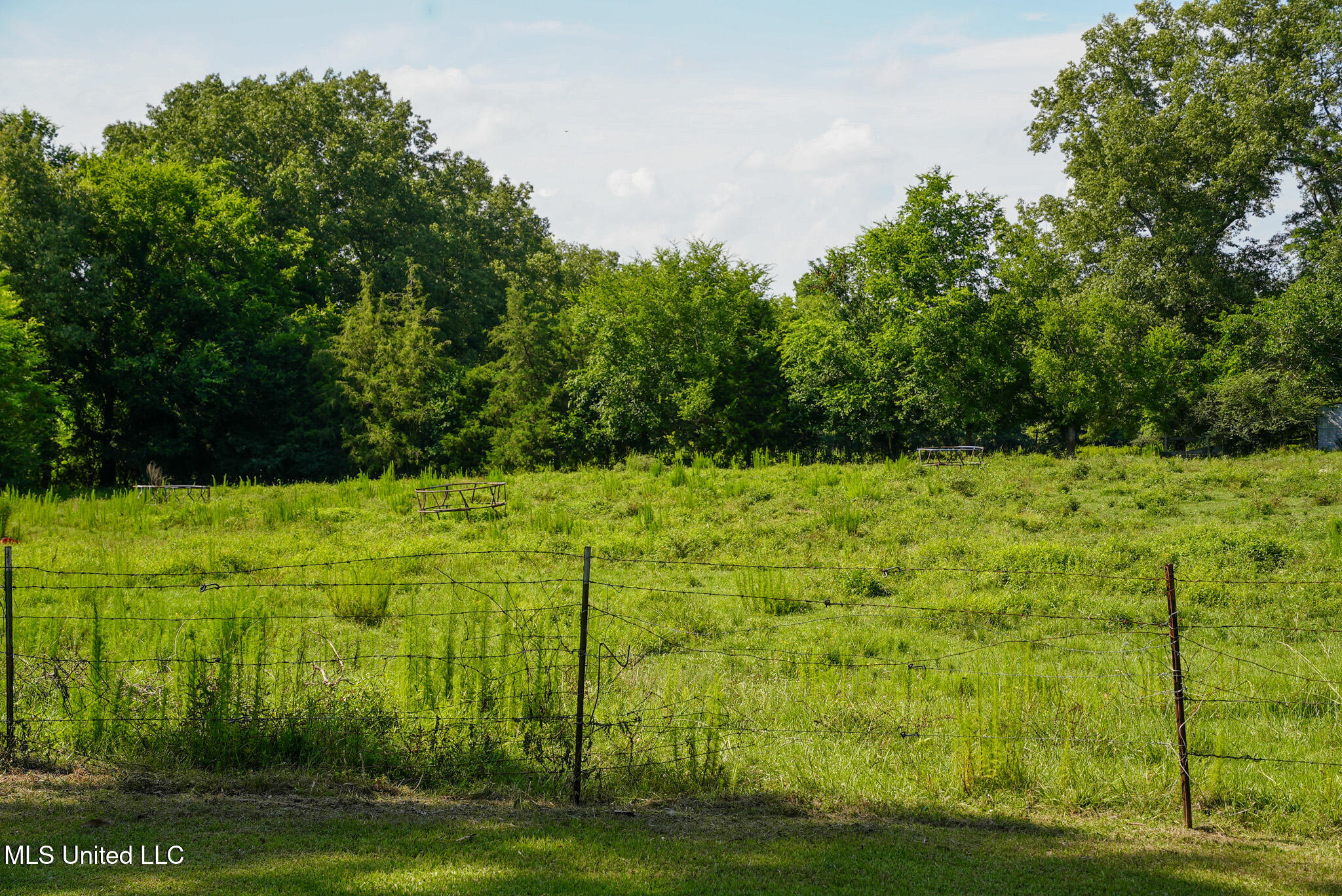 3084 Tom Collins Road Utica, MS 39175 - Photo 43 of 93 DSC01338