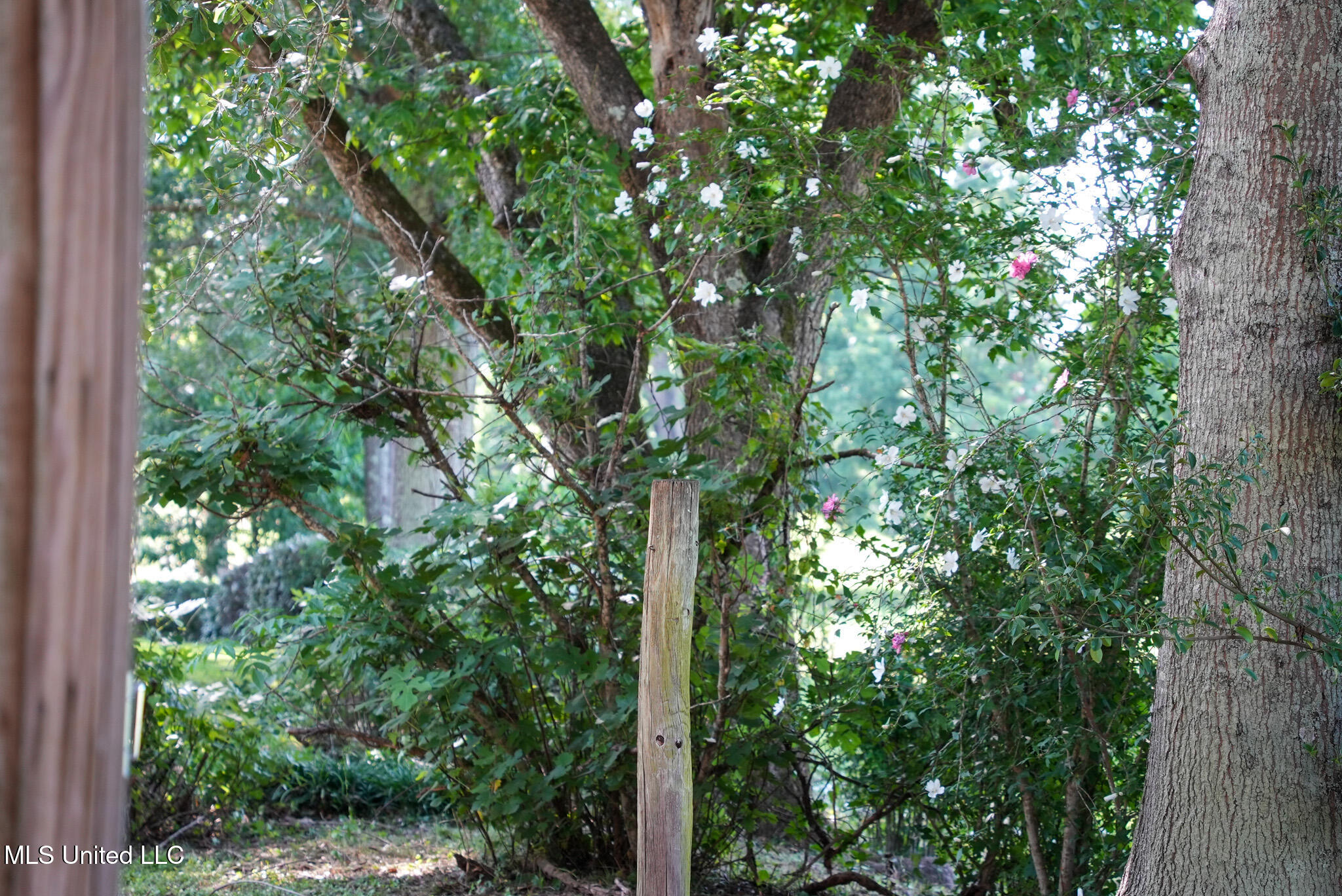 3084 Tom Collins Road Utica, MS 39175 - Photo 47 of 93 DSC01342