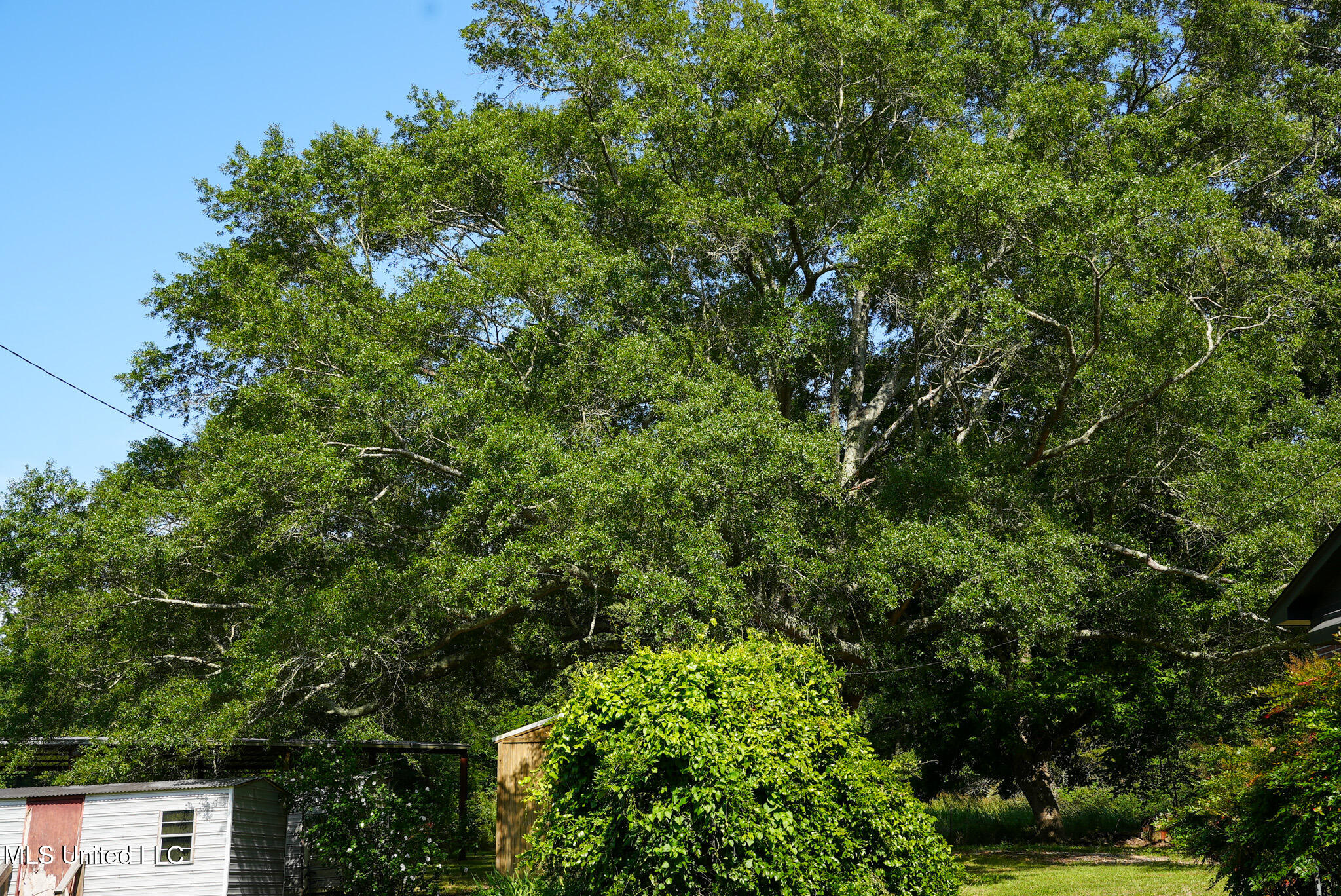 3084 Tom Collins Road Utica, MS 39175 - Photo 51 of 93 DSC01346