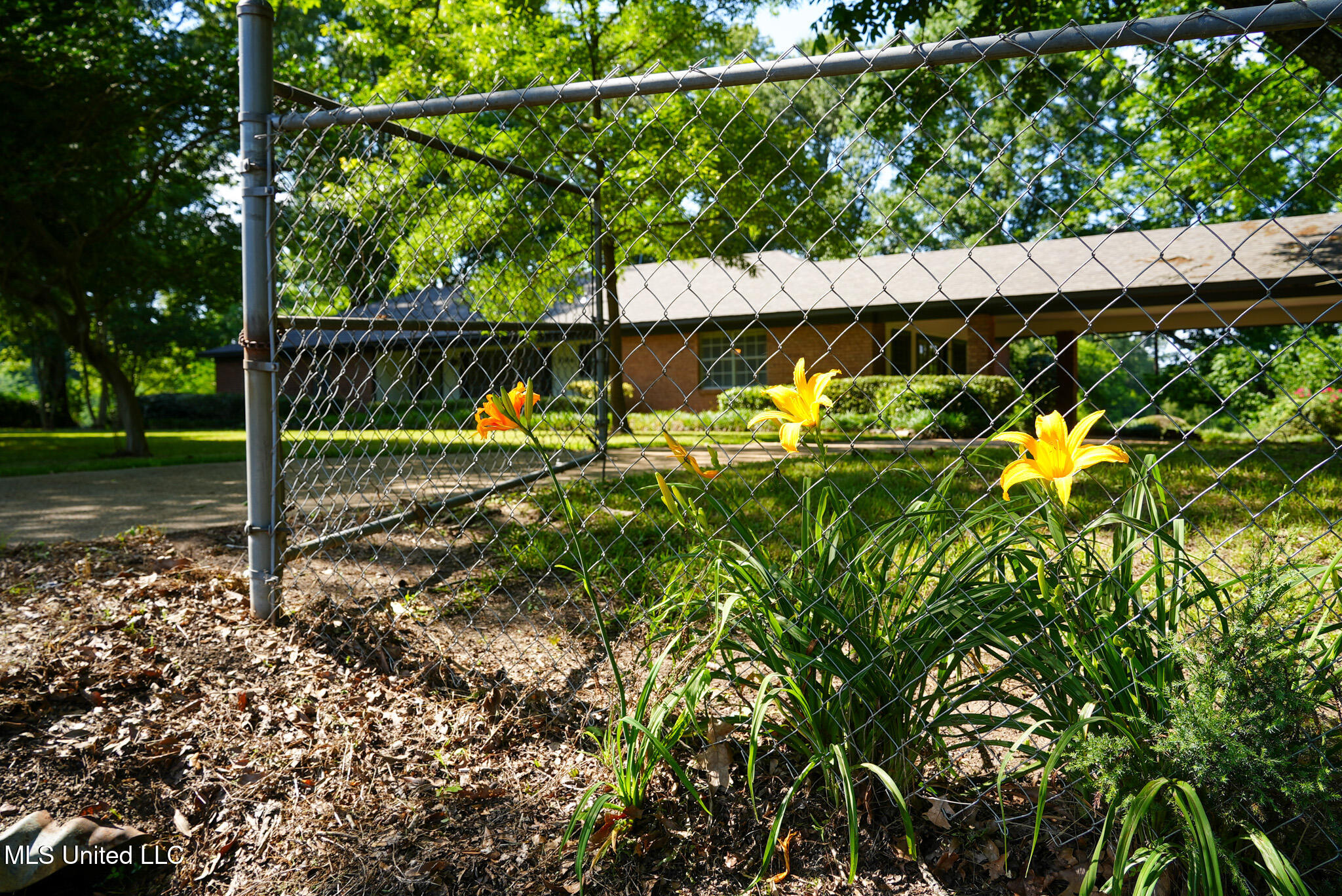 3084 Tom Collins Road Utica, MS 39175 - Photo 53 of 93 DSC01348