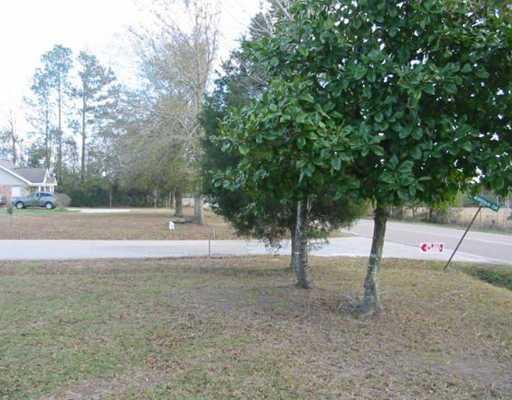 46 Sones Chapel Road Carriere, MS 39426 - Photo 25 of 25 Gallery Image 25