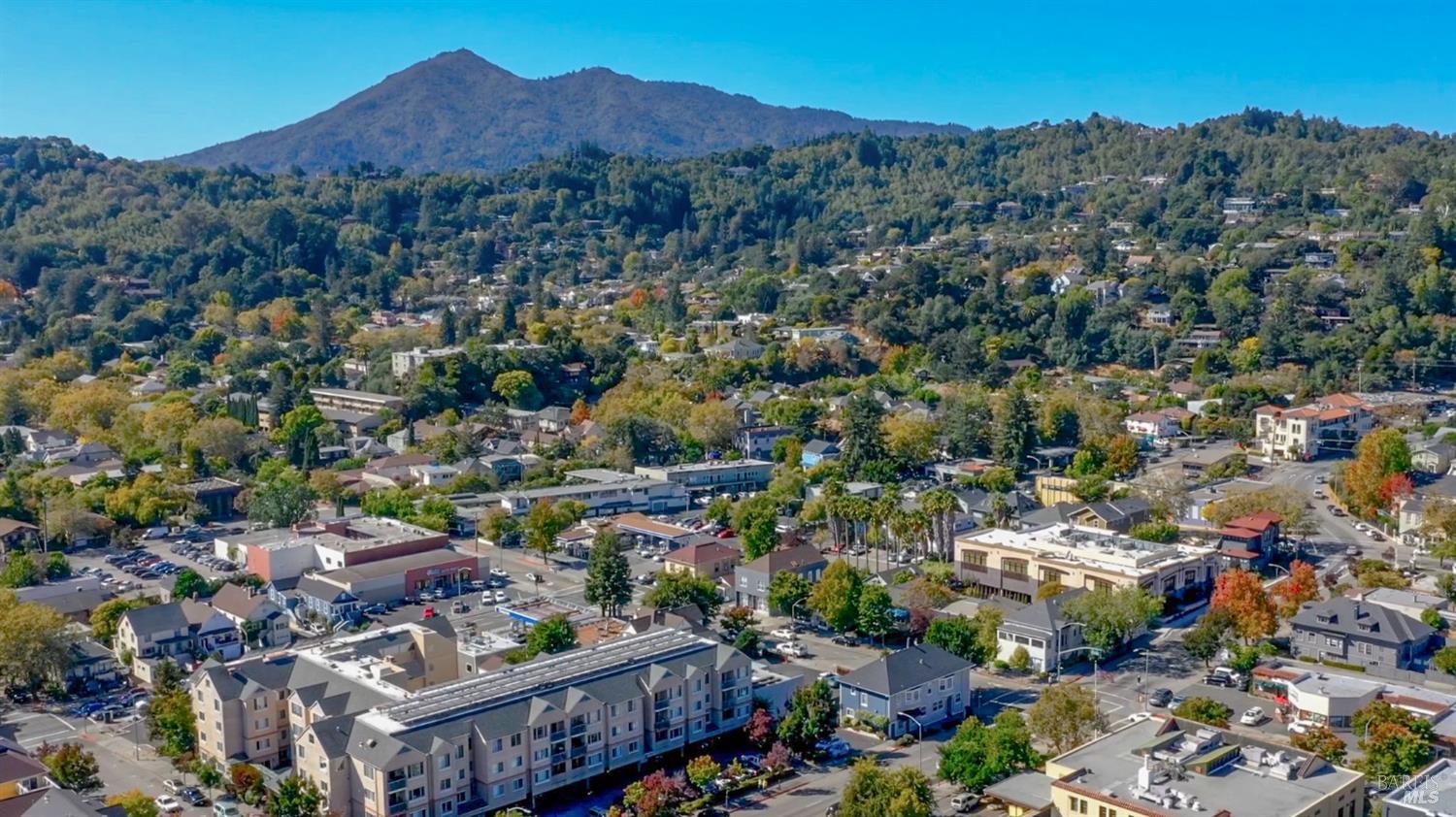 226 Bayview Street San Rafael, CA 94901 - Photo 56 of 57 an aerial view of residential houses and outdoor space