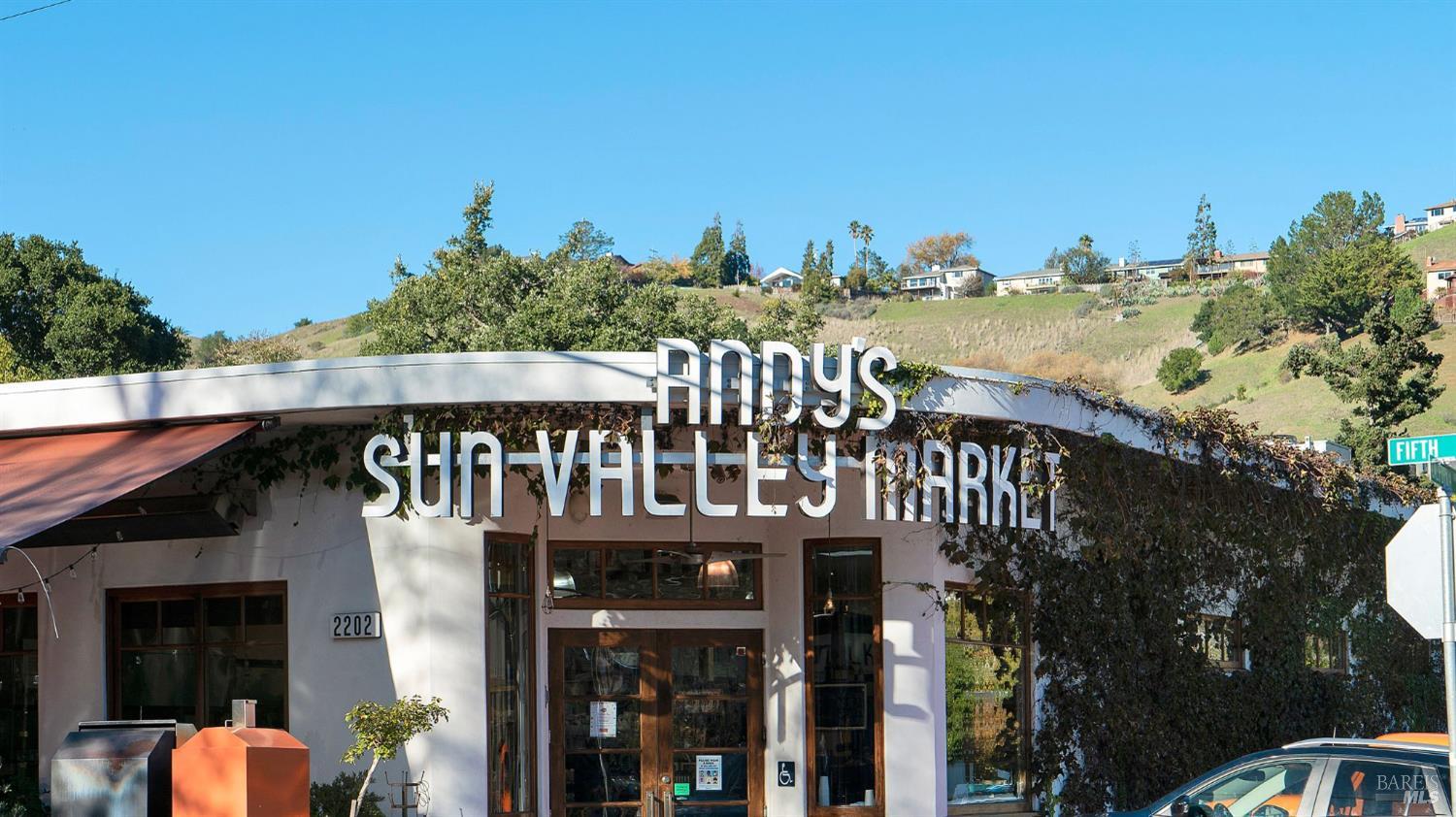 226 Bayview Street San Rafael, CA 94901 - Photo 57 of 57 a front view of a house with a yard and mountain view in back