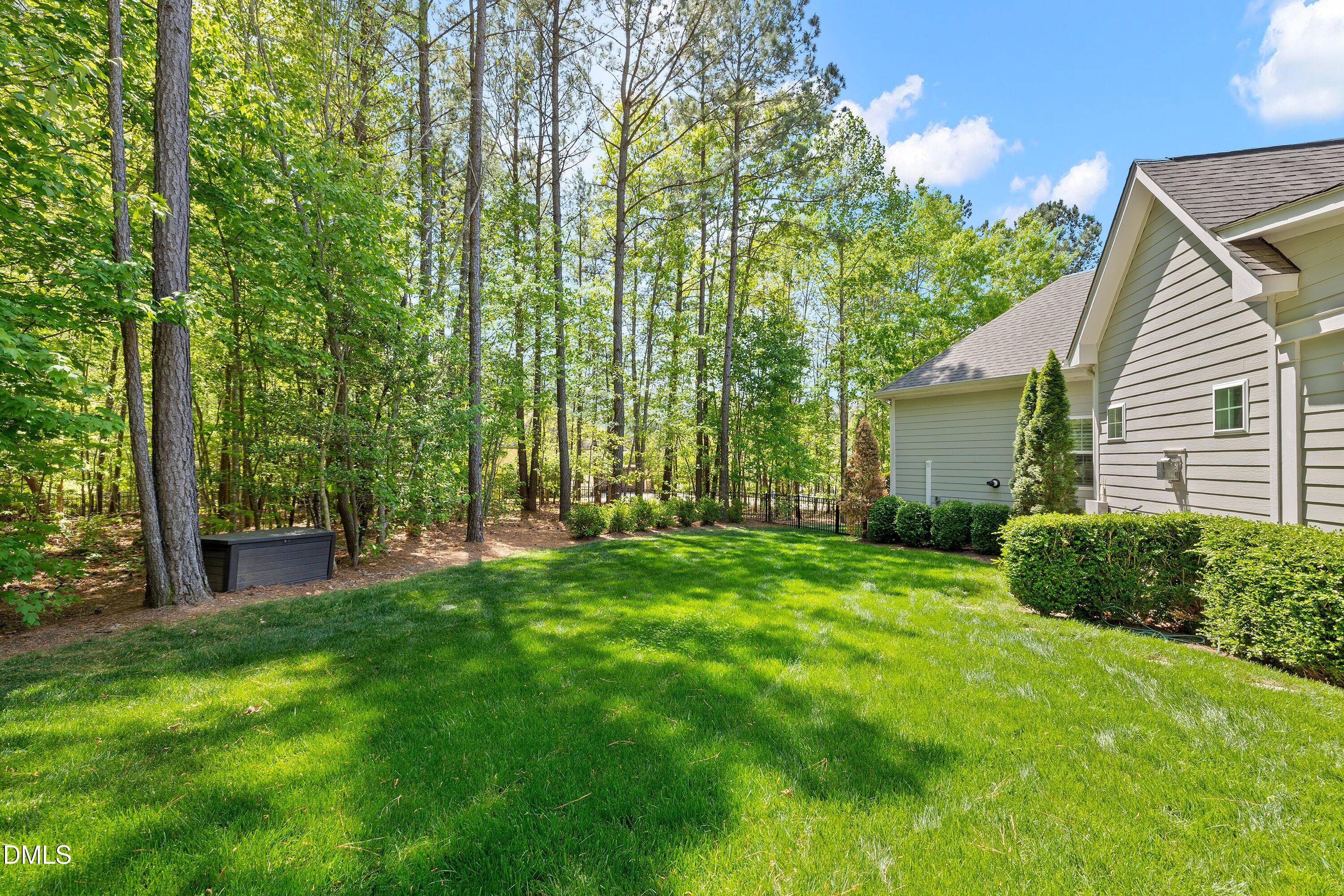 1536 Rock Dove Way Raleigh, NC 27614 - Photo 93 of 100 a view of a backyard with plants and large trees