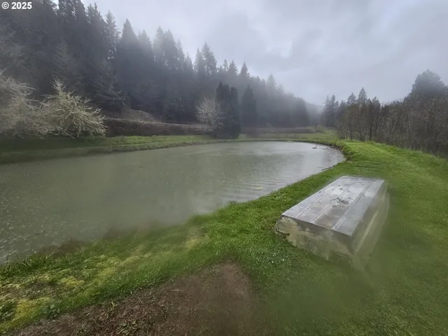 a view of a water pond with green space