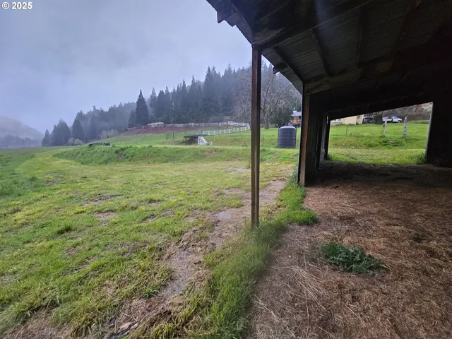 a view of a back yard