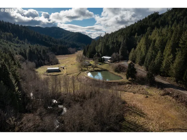 a view of a house with pool and trees in the background
