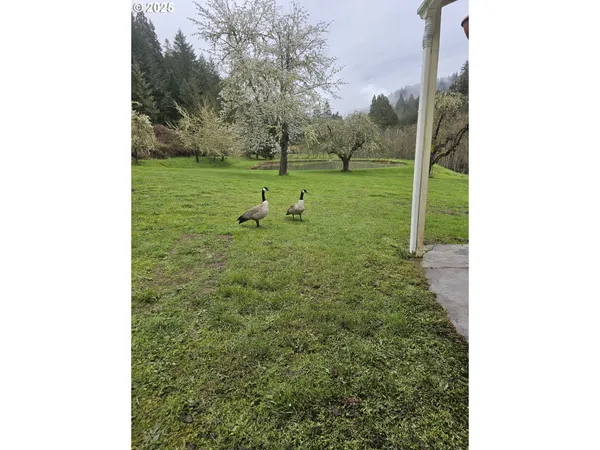 $599,900 | 467 Slide Creek Road, Myrtle Creek, OR 97457
