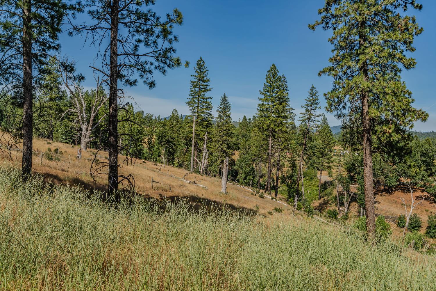 8133 Old Emigrant Trail East Mountain Ranch, CA 95246 - Photo 11 of 42