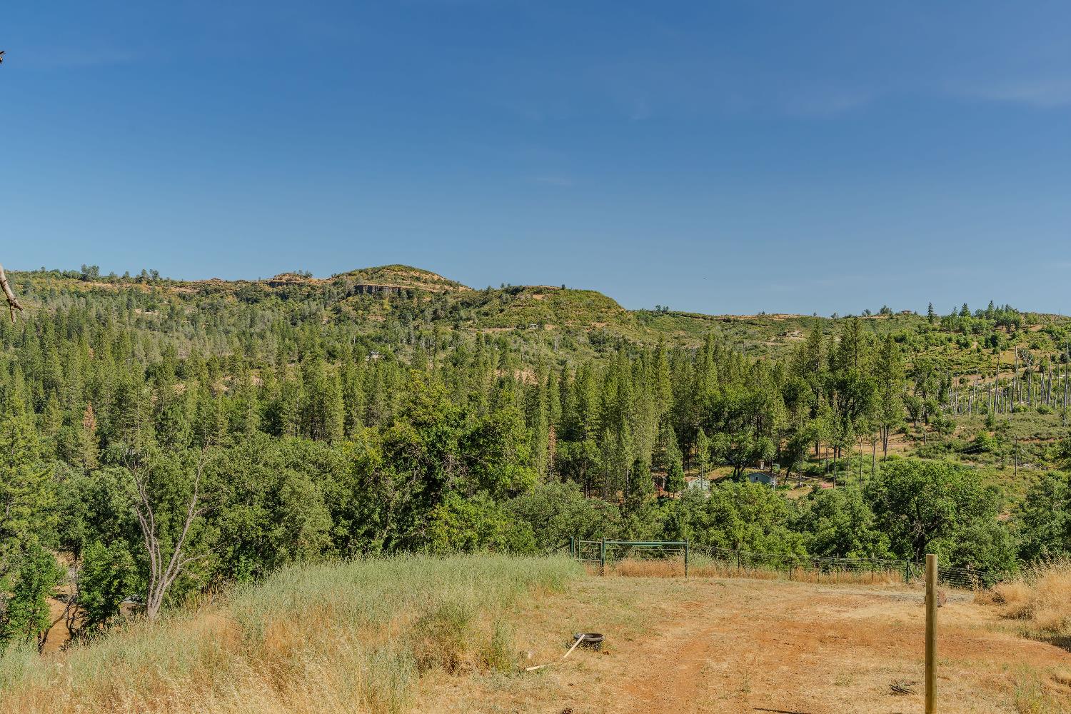8133 Old Emigrant Trail East Mountain Ranch, CA 95246 - Photo 13 of 42