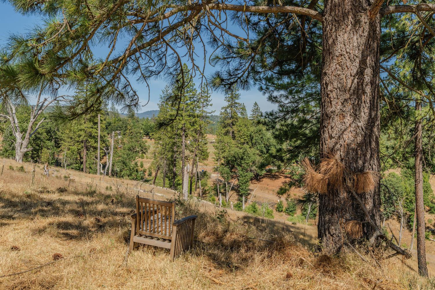 8133 Old Emigrant Trail East Mountain Ranch, CA 95246 - Photo 16 of 42