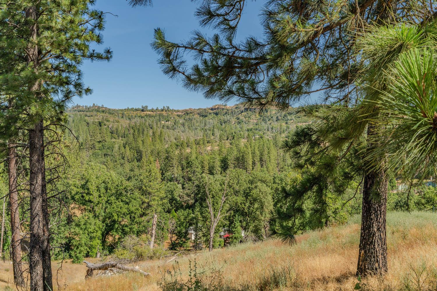 8133 Old Emigrant Trail East Mountain Ranch, CA 95246 - Photo 17 of 42