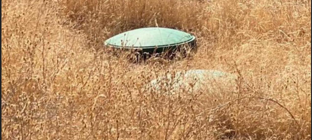 8133 Old Emigrant Trail East Mountain Ranch, CA 95246 - Photo 18 of 42