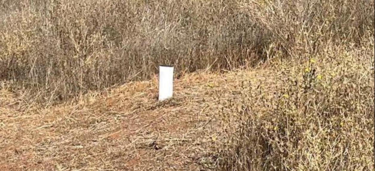 8133 Old Emigrant Trail East Mountain Ranch, CA 95246 - Photo 21 of 42