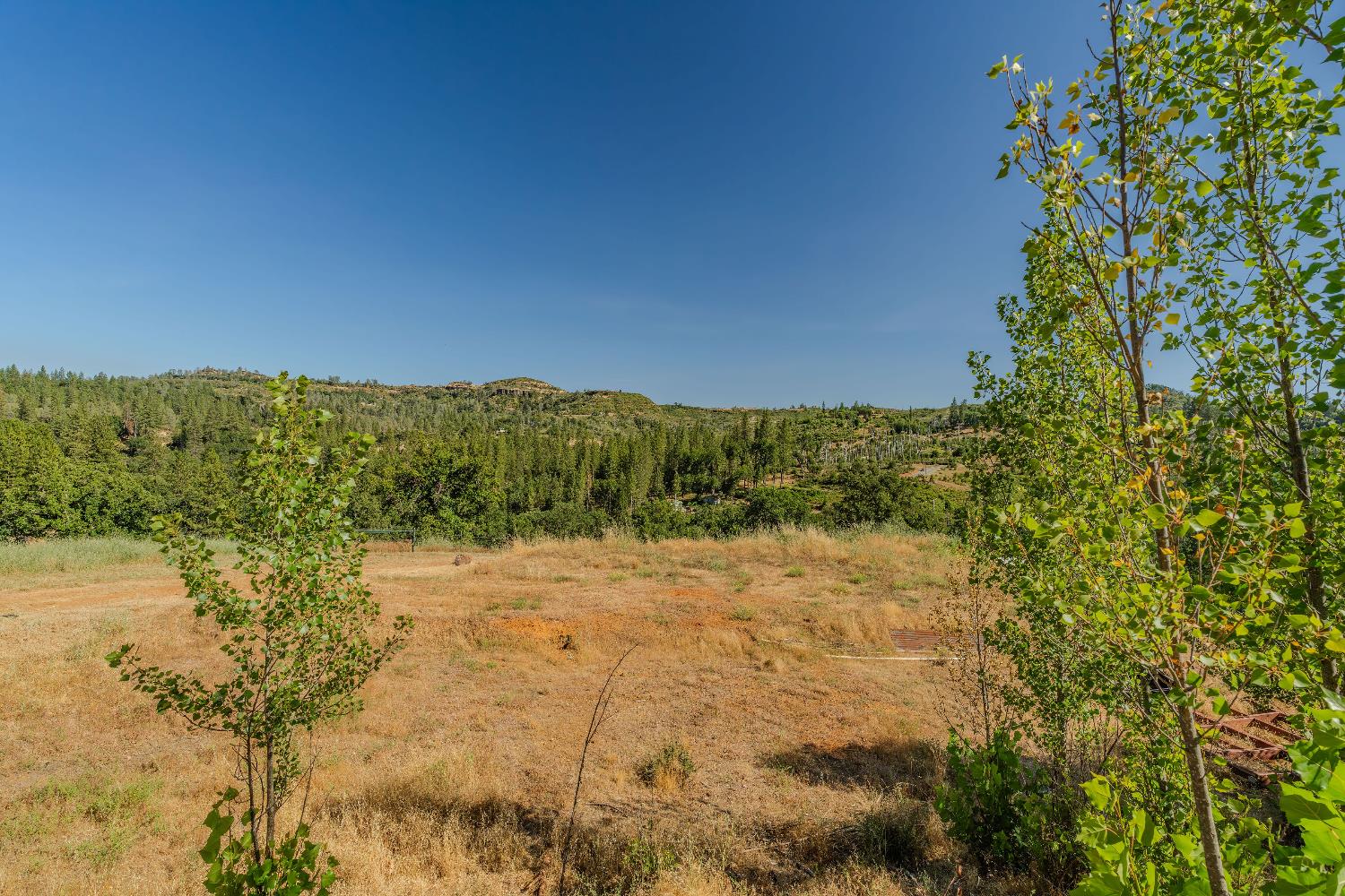 8133 Old Emigrant Trail East Mountain Ranch, CA 95246 - Photo 22 of 42